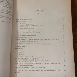 [sách quý] Những Họ Thực Vật Có Hoa (1975) 931249