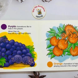 Set boardbook tiếng Anh cho bé từ 0T 500070