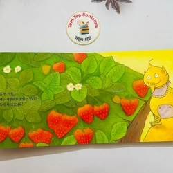 Boardbook tiếng Hàn cho bé 0-3T- B12 506983