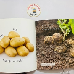 Set sách tiếng Hàn minh hoạ dễ thương bạn hổ 호비 470095