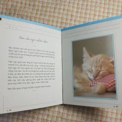 NGỦ THẬT LÂU - YÊU THẬT SÂU _ Những lời khuyên thông thái từ loài mèo _ 713491