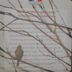 Jeam Louis Fournier - BA ƠI MÌNH ĐI ĐÂU? 1002102