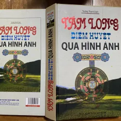 Tầm Long Điểm Huyệt Qua Hình Ảnh