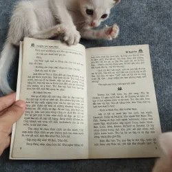 CHUYỆN CỦA CHÚNG MÌNH - ĐỖ THANH VÂN 567771