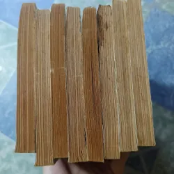 Tiểu Quỷ bá đạo ( 8 tập)  - Nam Kim Thạch 992747