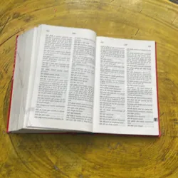 TỪ ĐIỂN VIỆT - ANH- BÙI PHỤNG 695760