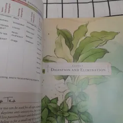 Sách màu t.Anh- CÂN BẰNG CƠ THỂ BẰNG THẢO MỘC- BODY BALANCE HERBAL GUIDE. Tg. M. Grove 706840