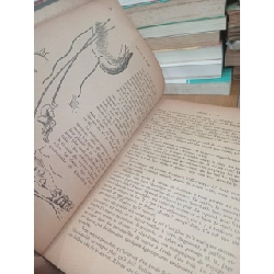 Aimons à lire: Cours supérieur classe de fin d'études C.E.P - J. Gourdon et R. Ozouf 960533