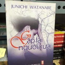 Tiểu thuyết Gặp lại người xưa