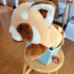 Plush Gấu Đỏ