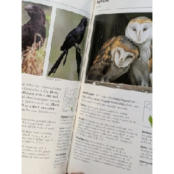 Stokes Field Guide To Birds - Donald and Lillian Stokes 1025883