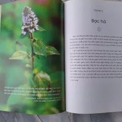 Năng Lượng Sống Từ Thảo Dược -Rosalee de la Forêt 604963