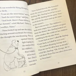 ✨𝑷𝒆𝒕𝒆𝒓 𝑷𝒂𝒏✨ 748717