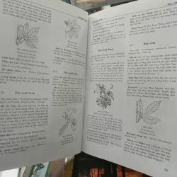 TỪ ĐIỂN CÂY THUỐC VIỆT NAM - VÕ VĂN CHI 455989