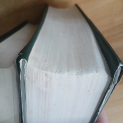 Cây Cỏ Có Ích Ở Việt Nam (Bộ 2 Tập) - Võ Văn Chi, Trần Hợp 525846