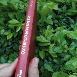 Robinson Crusoe của Daniel Defoe 974356