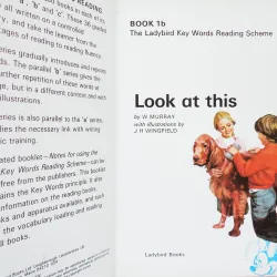 Look at this 1b (Key Words Reading Scheme) 13767