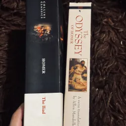 The Odyssey + The Iliad  996795