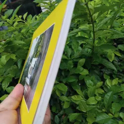 Đặng tộc đại tông phả ( phả chi trưởng họ Đặng )  981584