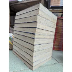 Truyện tranh hồ sơ mật 575891