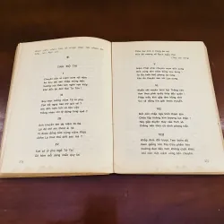 Mấy điệu sen thanh (1992) 998395