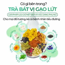 Trà gạo lứt 8 vị - Trà thảo mộcthanh lọc - túi zip 20 gói 738157
