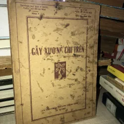 Gẫy Xương Chi Trên-Nhiều Tác Giả