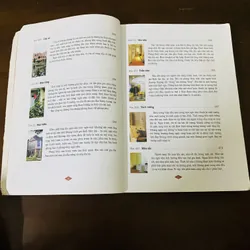 Gia Cát Khổng Minh bàn về phong thuỷ  723705