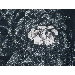 Áo khoác / Áo khoác đường đi 2 món - Hàng hiệu Authentic 877624