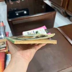 性命健身秘法 (Tạm dịch: Bí Pháp Dưỡng Sinh – Kiện Thân)- K2 999881