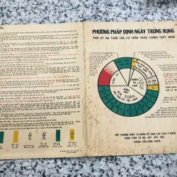 PHƯƠNG PHÁP ĐỊNH NGÀY TRỨNG RỤNG ( giấy xưa) 994281