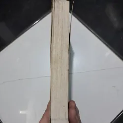 Vương chiêu quân 1029034