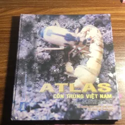 Atlas côn trùng Việt Nam