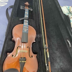 Đàn Violin Suzuki 220OF Size 4/4 165247