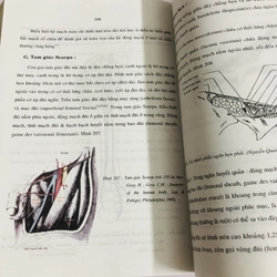 CHẤN THƯƠNG HỌC VÙNG HÁNG ( Lê Phúc ) 539414