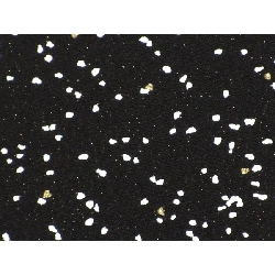 小紋 - Hàng hiệu Authentic 878566