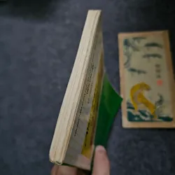 Alain Robbe - Grillet và sự đổi mới tiểu thuyết 733968