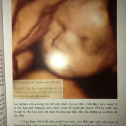 Cuộc hành trình 9 tháng kỳ diệu trong bụng mẹ  674618