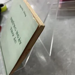 NHỮNG NGÀY THƠ ẤU - NGUYÊN HỒNG 713535