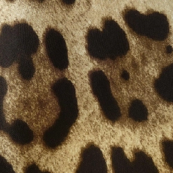 【Khuyến mãi】Đầm Dolce & Gabbana DOLCE&GABBANA 651309