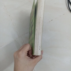 Truyện Pippi tất dài 460745