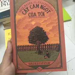 Cây cam ngọt của tôi