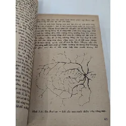 Sự thụ cảm ánh sáng và màu sắc - người dịch Nguyễn Đạt 696059