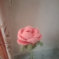 Hoa hồng bằng len "hoa không tàn"