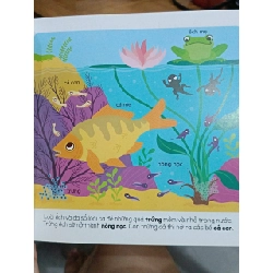 Cẩm nang khoa học bằng tranh Lorousse: NHƯ THẾ NÀO? - Nhiều tác giả (Phong Thu dịch) 745212