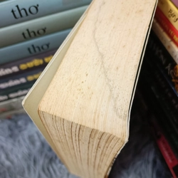 Gia đình Budden Brook (Thomas Mann) 517630