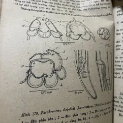 Nguyên lý môn giun tròn thú y 2; 200 trang khổ lớn  1009223
