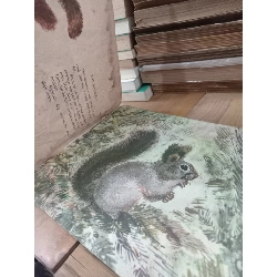 How they live - Y. Charushin 797808