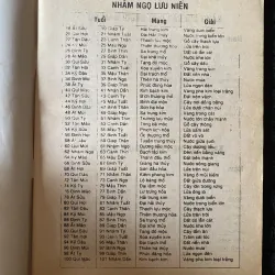 Tam Tông Miếu ( sách tự in ?) 1046000