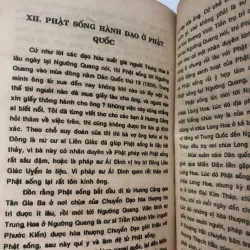 Phật sống chùa Kim Sơn – Lạc Quan Pháp sư (Dịch giả: Đồ Nam) 998409
